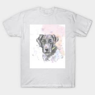 Black Labrador portrait. T-Shirt